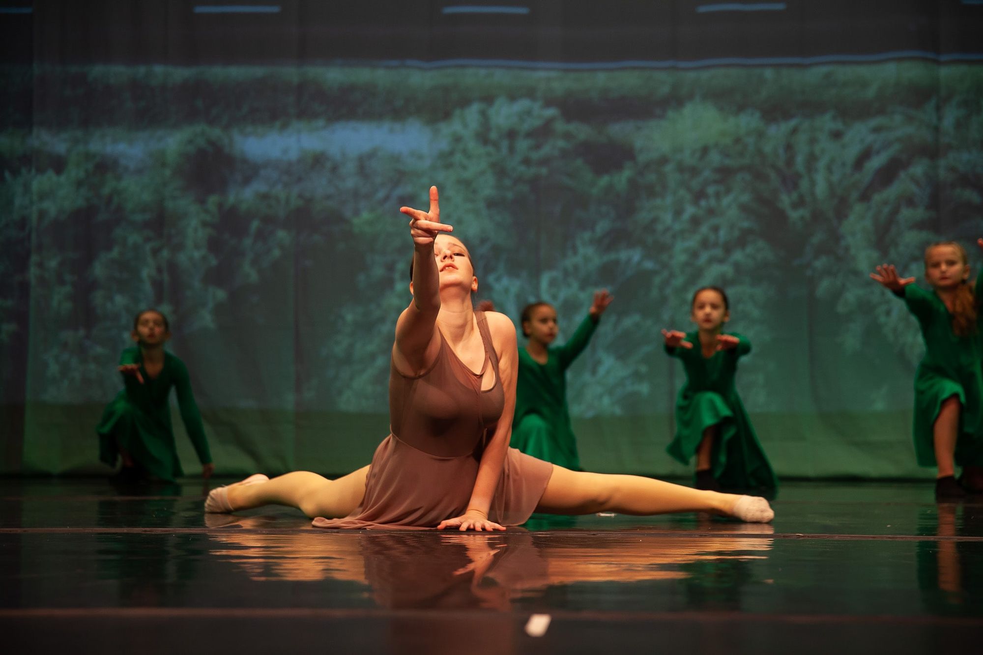 Tanzshow Planet Erde im  Sachsenwald Forum Reinbek